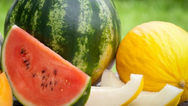 "Yemişlə qarpızı birlikdə yemək olmaz, çünki..." - Mütəxəssis