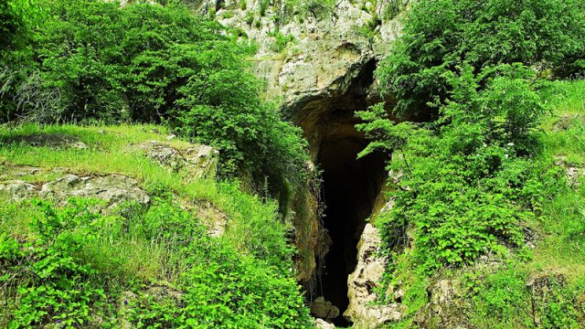 Azıx mağarasında yeni tədqiqatlar nə vaxt başlayacaq?