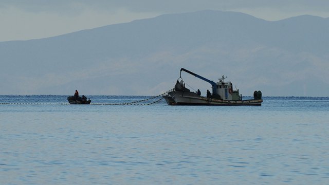 FT: Narkotiklər Avropaya Polşa bayrağı altında üzən gəmilərlə gətirilir