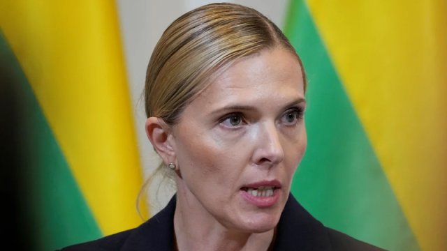 Litva Rusiya uğrunda döyüşmüş litvalını vətəndaşlıqdan məhrum edəcək