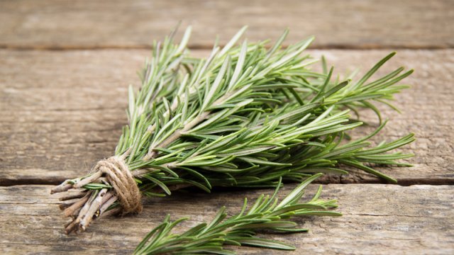 Son zamanlar məşhurlaşan bibəriyə otu nədir?