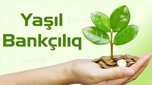 Azərbaycanın bank sektoru yaşıl və davamlı layihələr üçün 1,2 milyard dollar ayırıb
