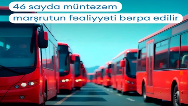 Bakıda daha 46 sayda avtobus marşrutunun fəaliyyəti bərpa edilir
