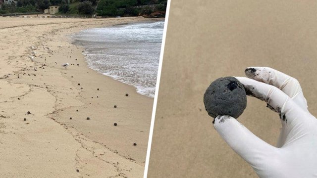 Alimlər Avstraliya sahillərində tapılan çoxrəngli topların sirrini öyrənə bilmir