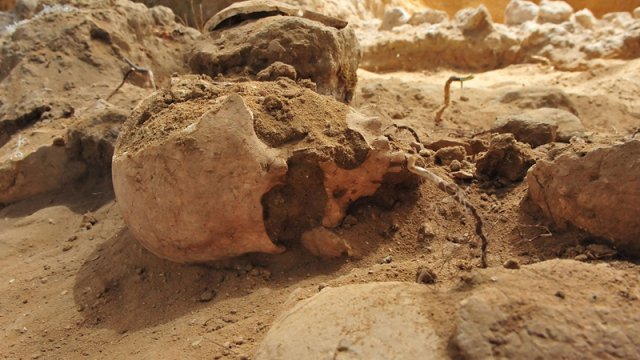 Tunc dövrü Britaniyada adamyeyənlik olub - Alimlər sübut etdi