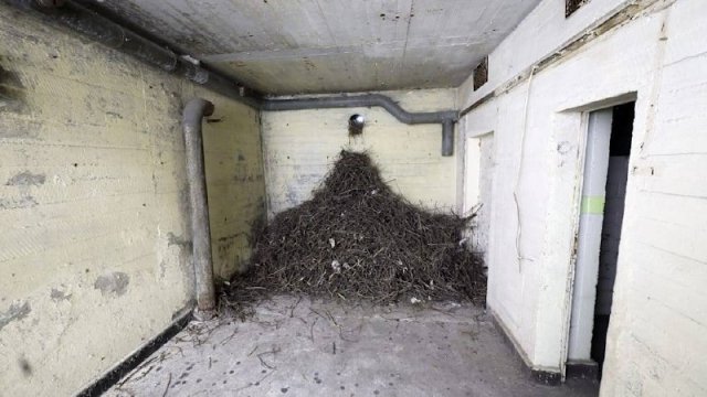 Almaniyada II Dünya müharibəsindən qalma nəhəng bunker satılır - 1 avroya