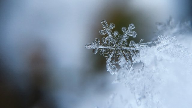 Zaqatalada qarın hündürlüyü bir metri keçib - FAKTİKİ HAVA