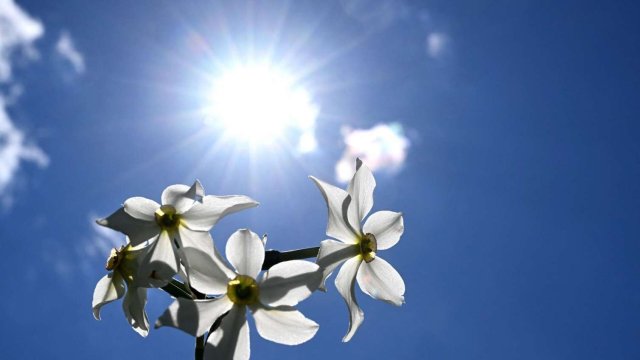 8 mart günü 22 dərəcə isti olacaq