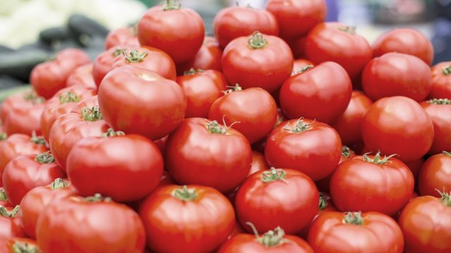 Azərbaycan bu il Rusiyaya 29 min tona yaxın pomidor ixrac edib