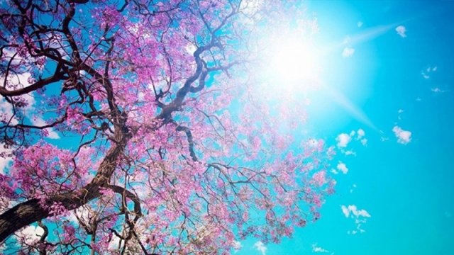 Aprel ayında Bakıda hava 30 dərəcəyədək isti olacaq