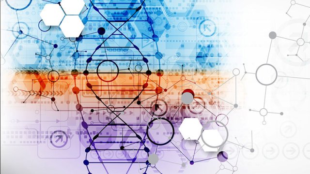 Alimlər çoxhüceyrəli orqanizmlərin təkamül mexanizmi açıqlandı