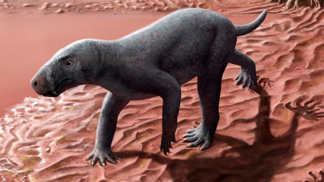 Məməlilər dinozavrlar dövründə yerüstü həyata keçməyə başlayıb - Alimlər