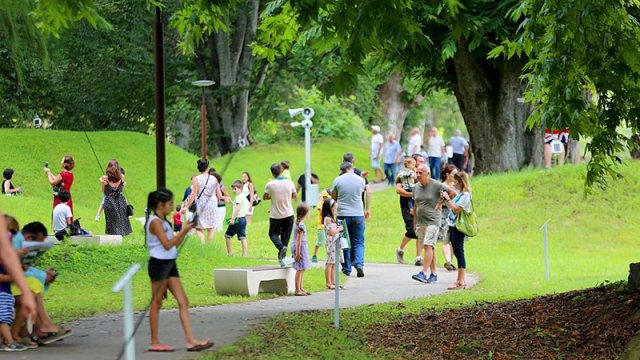 Dendrologiya parkına daha 7 milyon manat ayrıldı