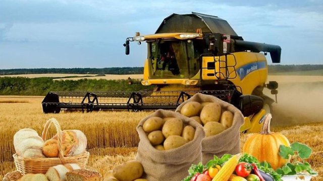 Azərbaycanın kənd təsərrüfatı məhsullarını brendə çevirmək üçün nələr edilməlidir?