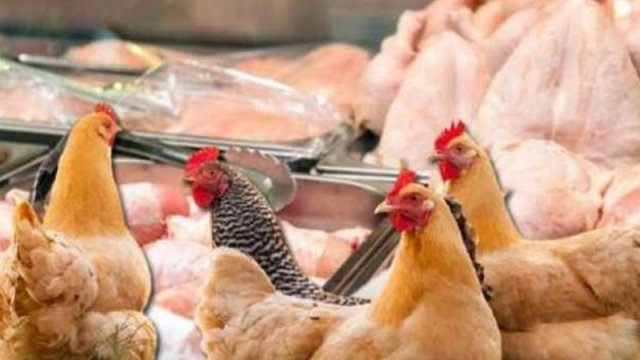 Kənd toyuğu adı ilə aldatma cəhdləri