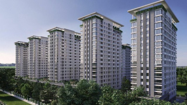 "Avant Group" Yasamalda ağacları kəsib, 100 min ziyan vurub