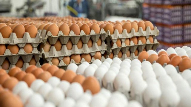 Makretlərdə köhnə yumurta satılır - Necə ayırd edək?