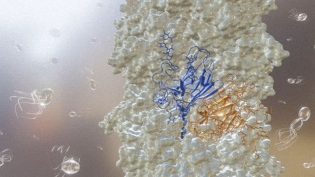 Yer təcrübəsi elm adamlarına Saturn sistemində həyat tapmaq ümidi verir