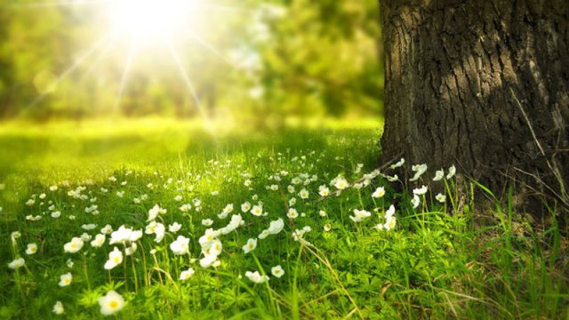 Sabahın hava proqnozu - 23 dərəcə isti olacaq