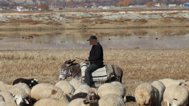 Azadlığa çıxan çoban 1 gün sonra yenidən həbs edildi
