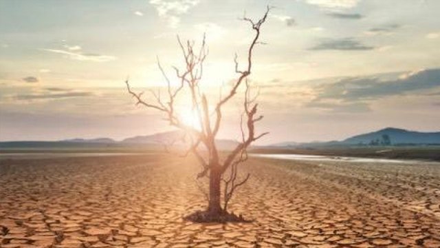 Atmosfer susuzluğu quraqlığın artmasının əsas səbəbidir - ARAŞDIRMA