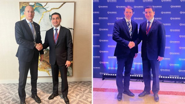 Hikmət Hacıyev Çexiya rəsmiləri ilə görüşdü - FOTO
