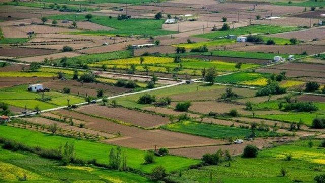 Torpaq özəlləşməsində mühüm addım