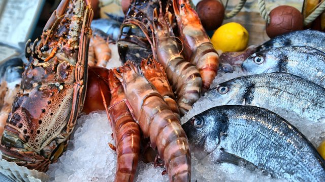 Dəniz məhsullarında ölümcül və sağalmaz bakterial infeksiyaların səbəbi tapıldı