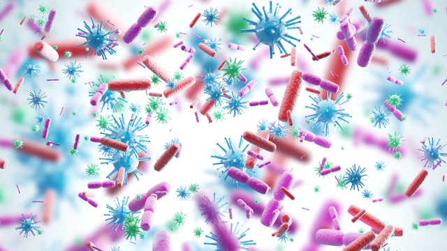 Viruslar beynimizi dəyişdirir - Alimlərdən yeni kəşf