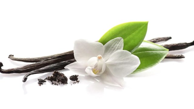 İqlim dəyişikliyi səbəbindən bu məhsul yox olacaq