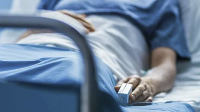 Arı sancdı, 1 ay komada qaldı
