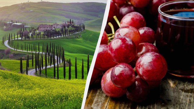 Dünyanın 77 şərabçılıq regionunu gəzdi: Onu heyrətləndirən 5 region