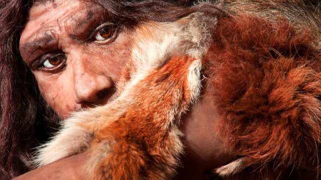 Neandertalların özünə məxsus yeməkləri olub: Alimlər fərqli ət doğrama üsulları tapdı