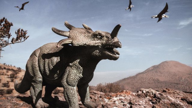 Kanadada alimləri heyrətə salan unikal dinozavr izləri aşkar edildi: Onları nə fərqləndirir?