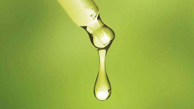 Zeytun yağını hansı sağlam yağ əvəz edə bilər? - Alimlər açıqladı