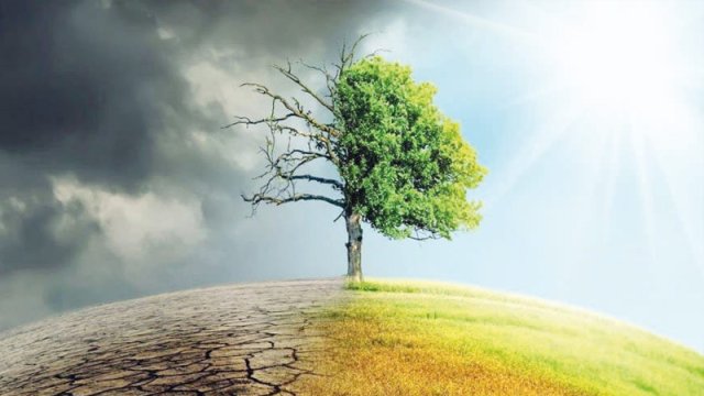 İqlim dəyişikliyinin kənd təsərrüfatına hansı mənfi təsirləri olacaq?