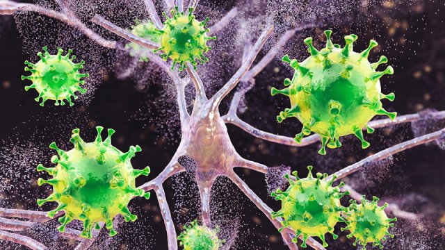 Koronavirus pandemiyası insan beyninin qocalmasını sürətləndirib