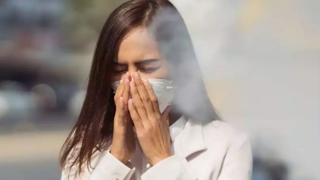 Ağciyərləri sürətlə qocaldır: Artan meşə yanğınları ilə bağlı xəbərdarlıq