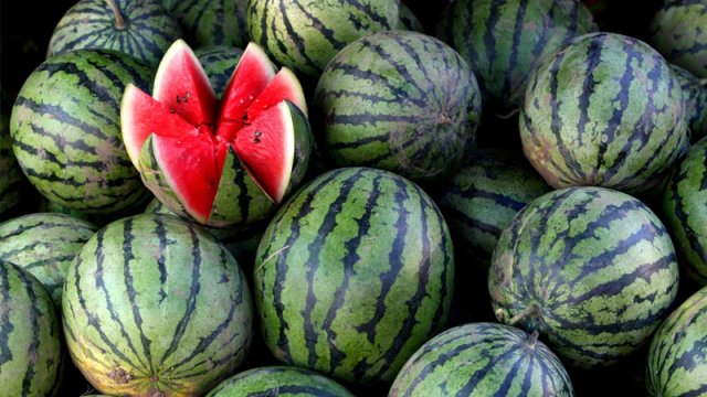 Günün altında satılan qarpız zəhərlənməyə səbəb olur?