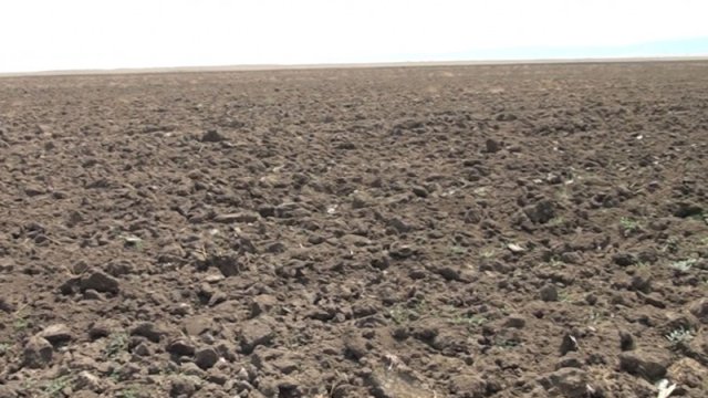Azərbaycanda 100-lərlə hektar ərazi bu səbəbdən becərilmir - VİDEO