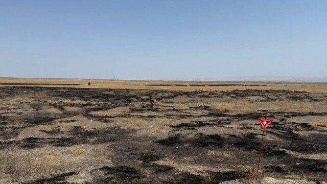 Cəbrayılda yanğına səbəb olan şəxslər saxlanıldı