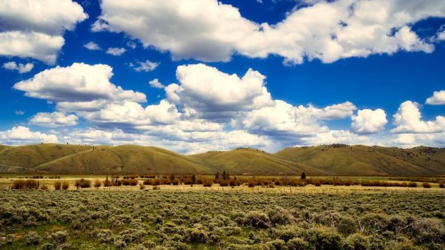 Sabahdan isti hava dalğası zəifləyəcək