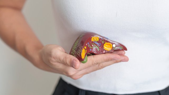 Qaraciyər xəstəliklərini transplantasiya olmadan müalicə etməyin yolu tapıldı