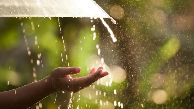 Şənbə günü bəzi yerlərdə yağış yağacaq
