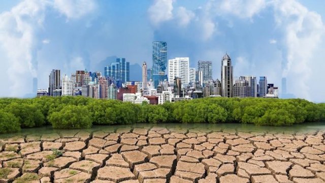 İqlim dəyişikliyi sahəsində terminoloji lüğət hazırlanır