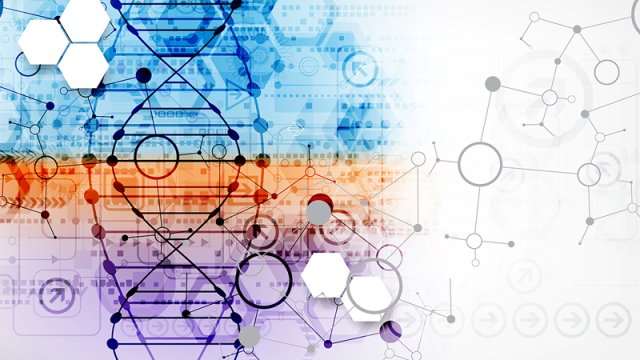 Yer üzündəki bütün canlıların təkamülünün sirri ilk dəfə açıldı