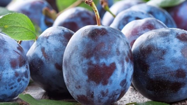 Yorğunluğu aradan qaldıran meyvə - Gavalı