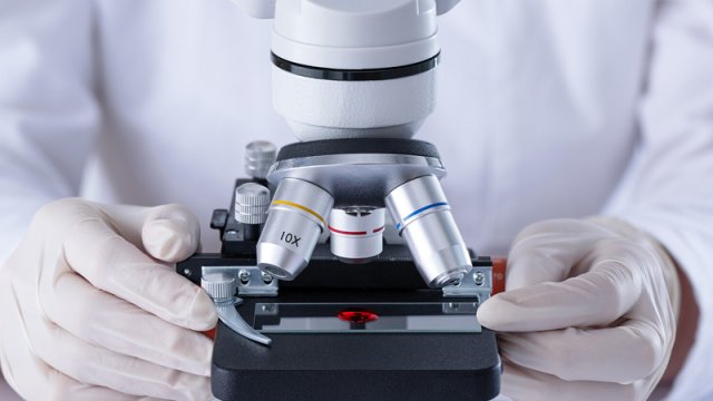 Alimlər insan istiliyini elektrik enerjisinə çevirən parça yaratdı