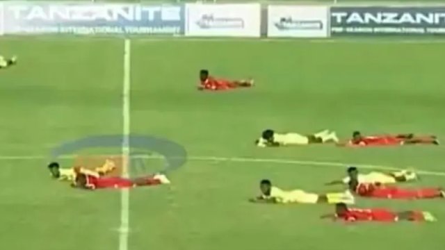 Arılar futbol matçını dayandırdı