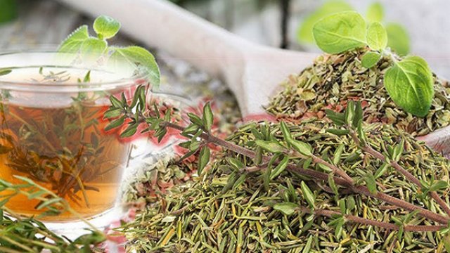 Kimlər kəkliotu çayı içə bilməz